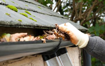 gutter cleaning Newton Valence, Hampshire